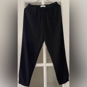 Aritzia | Babaton Black Pants